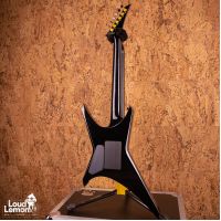 Jackson Custom Shop Mike Learn Skulls Graphic Warrior 2007 USA электрогитара