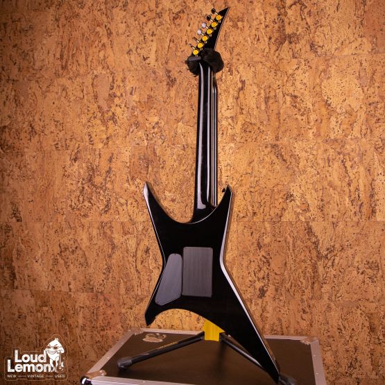 Jackson Custom Shop Mike Learn Skulls Graphic Warrior 2007 USA электрогитара