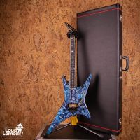 Jackson Custom Shop Mike Learn Skulls Graphic Warrior 2007 USA электрогитара