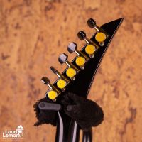 Jackson Custom Shop Mike Learn Skulls Graphic Warrior 2007 USA электрогитара