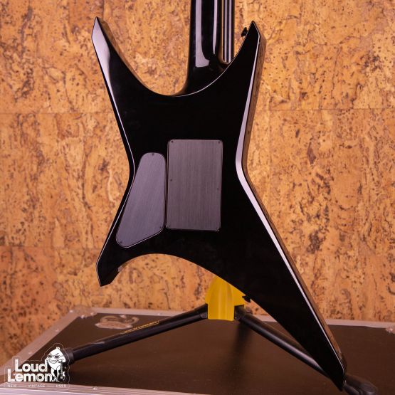 Jackson Custom Shop Mike Learn Skulls Graphic Warrior 2007 USA электрогитара
