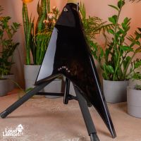 Jackson RRT-5 Pro Series Rhoads Gloss Black 2014 Indonesia электрогитара