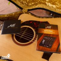 Maton SRS70C 