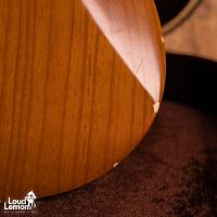Nashguitars T72DLX Mocha 2016 USA электрогитара