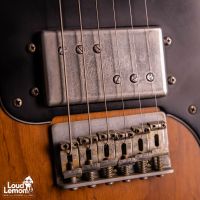 Nashguitars T72DLX Mocha 2016 USA электрогитара