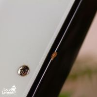 Orville By Gibson Thunderbird Bass Sunburst 1996 Japan бас-гитара