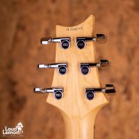 PRS CE 24 Semi-Hollow Eriza Verde Smokeburst 2019 USA электрогитара