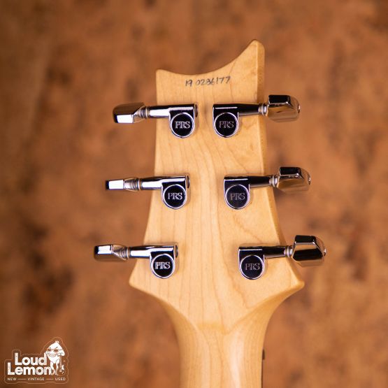 PRS CE 24 Semi-Hollow Eriza Verde Smokeburst 2019 USA электрогитара