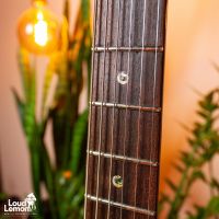 PRS Custom 22 Scarlet Red 2006 USA электрогитара