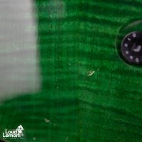 PRS Custom 24 10-Top Emerald Green 2002 USA электрогитара