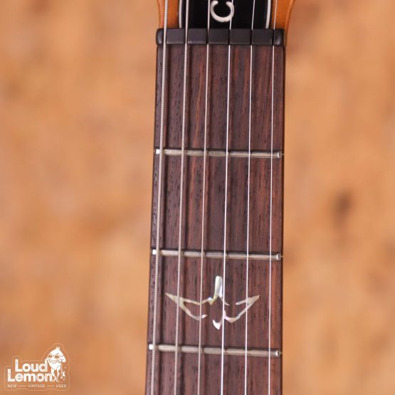 PRS Custom 24 Blue Matteo 2010 USA электрогитара