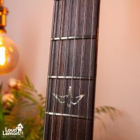 PRS Custom 24 Gray Black 2009 USA электрогитара