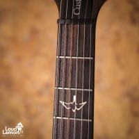 PRS Custom 24 Gray Black 2015 USA электрогитара