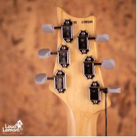 PRS John Mayer Silver Sky Frost 2022 USA электрогитара