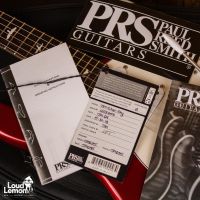 PRS John Mayer Silver Sky Horizon 2018 USA электрогитара