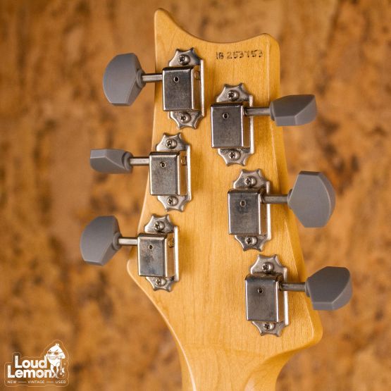 PRS John Mayer Silver Sky Horizon 2018 USA электрогитара