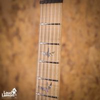 PRS Limited Edition Wood Library Custom 24 Bonnie Pink 2016 USA электрогитара