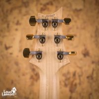 PRS Limited Edition Wood Library Custom 24 Bonnie Pink 2016 USA электрогитара