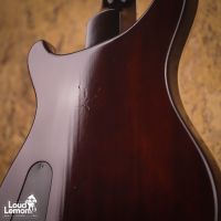 PRS McCarty 10-Top Solana Eclipse 2016 USA электрогитара