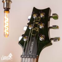 PRS S2 Custom 24 Moss Green 2018 USA электрогитара