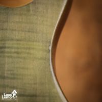 PRS SE Custom 24 Trampas Green 2015 Korea электрогитара