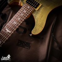 PRS SE Custom 24 Trampas Green 2015 Korea электрогитара
