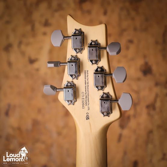 PRS SE Silver Sky Dragon Fruit 2022 Indonesia электрогитара