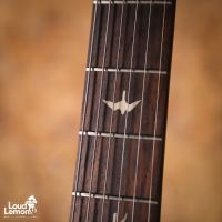 PRS SE Silver Sky Ever Green 2022 Indonesia электрогитара