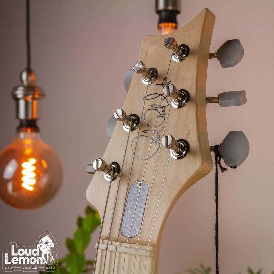 PRS Silver Sky Lunar Ice Limited Edition 1 of 1000 USA электрогитара