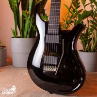 Parker DF Series DF622ENPDB Dusty Black 2011 USA электрогитара