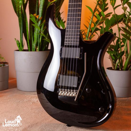 Parker DF Series DF622ENPDB Dusty Black 2011 USA электрогитара