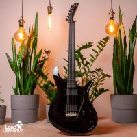 Parker DF Series DF622ENPDB Dusty Black 2011 USA электрогитара