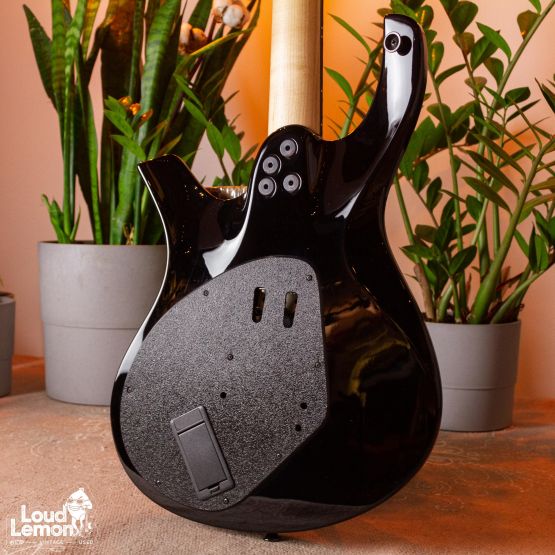 Parker DF Series DF622ENPDB Dusty Black 2011 USA электрогитара