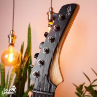 Parker DF Series DF622ENPDB Dusty Black 2011 USA электрогитара