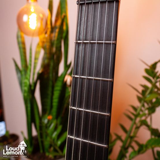 Parker DF Series DF622ENPDB Dusty Black 2011 USA электрогитара