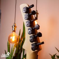 Parker DF Series DF622ENPDB Dusty Black 2011 USA электрогитара