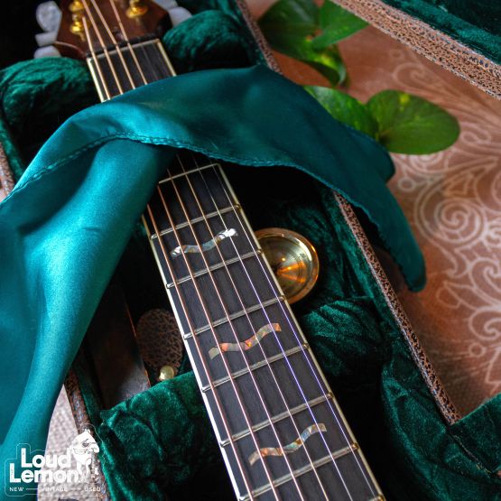 Parker PA-28 Event Series акустическая гитара