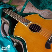 Parker PA-28 Event Series акустическая гитара