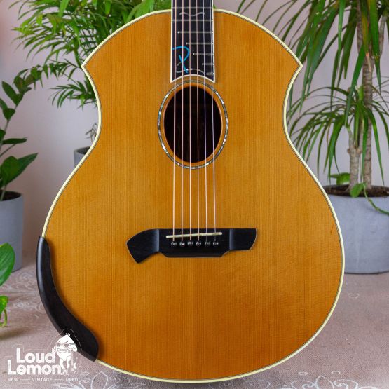 Parker PA-28 Event Series акустическая гитара