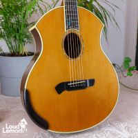 Parker PA-28 Event Series акустическая гитара
