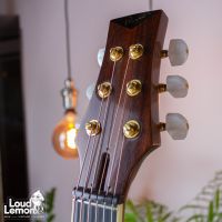 Parker PA-28 Event Series акустическая гитара