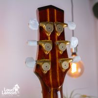 Parker PA-28 Event Series акустическая гитара