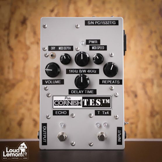 Pete Cornish T.E.S Tape Echo Simulator дилей