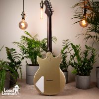 Harmony Rebel Champagne USA 2020 электрогитара