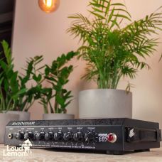 Reidmar EBS Bass Amp усилитель для бас-гитары
