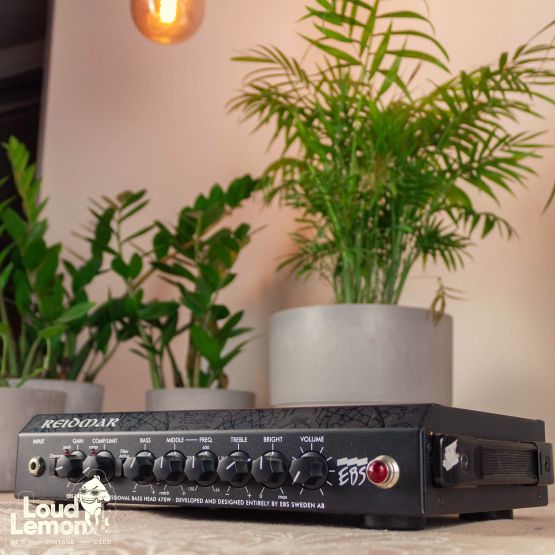 Reidmar EBS Bass Amp усилитель для бас-гитары