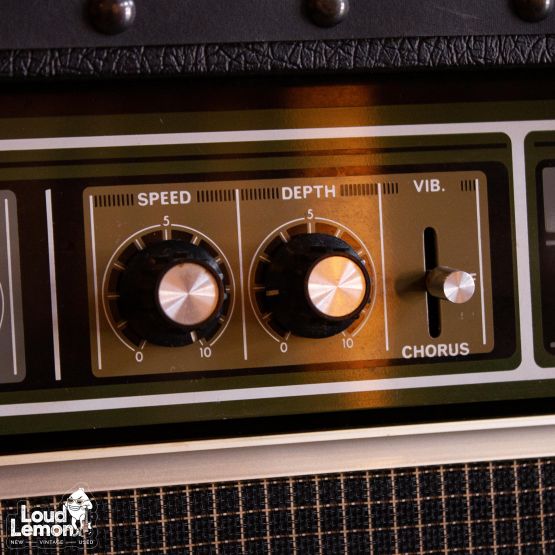 Roland JC-120 Jazz Chorus 1977 Japan винтажный стерео-усилитель для электрогитара