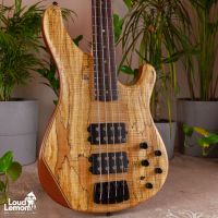 Sandberg Basic Ken Taylor 4 Spalted Maple 2010 Germany бас-гитара
