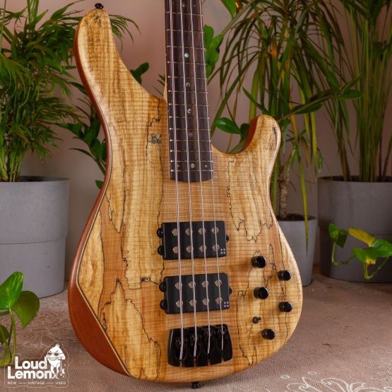 Sandberg Basic Ken Taylor 4 Spalted Maple 2010 Germany бас-гитара