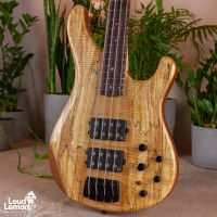 Sandberg Basic Ken Taylor 4 Spalted Maple 2010 Germany бас-гитара